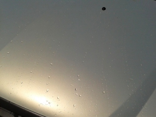 Автохимия. Как правильно ухаживать за автомобилей: Turtle wax ICE! Следы от тополиных почек или полироль для черепашек